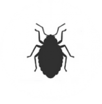 E3 Termite and Pest Generic Bug