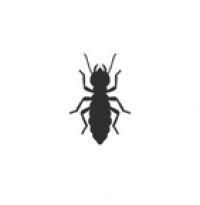 E3 Termite and Pest - Pest Control Termite