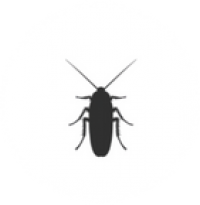 E3 Termite and Pest - Roach Icon